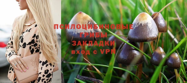 соль курить ск Алексеевка