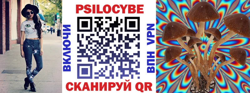 дарнет шоп  Дзержинск  Галлюциногенные грибы MAGIC MUSHROOMS 