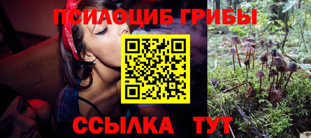 Галлюциногенные грибы Psilocybine cubensis Дзержинск