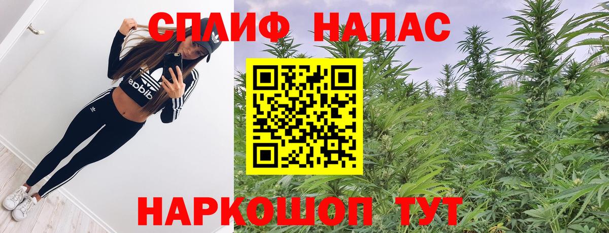 Марихуана план  Шишки марихуана MAZAR  Вход с VPN  Каннабис марихуана  Бошки марихуана ГИДРОПОН  Дзержинск 